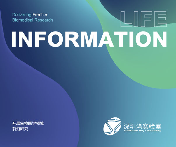 紀念版箱設計：Politecnico Calzaturiero 百年慶典